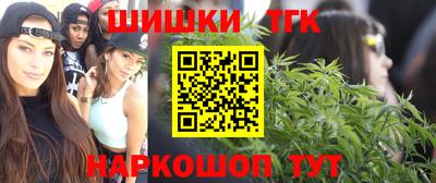 шишки Славгород