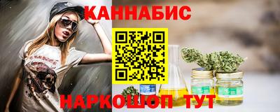 шишки Славгород