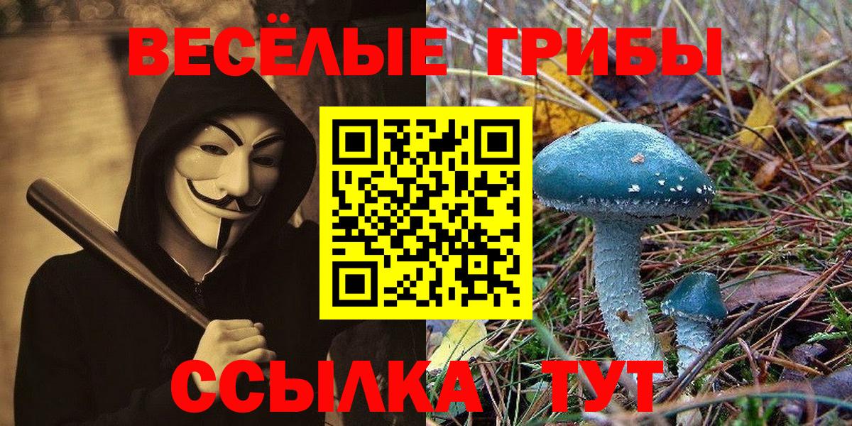 Новоалтайск  Галлюциногенные грибы прущие грибы  продажа наркотиков  Вход с VPN 
